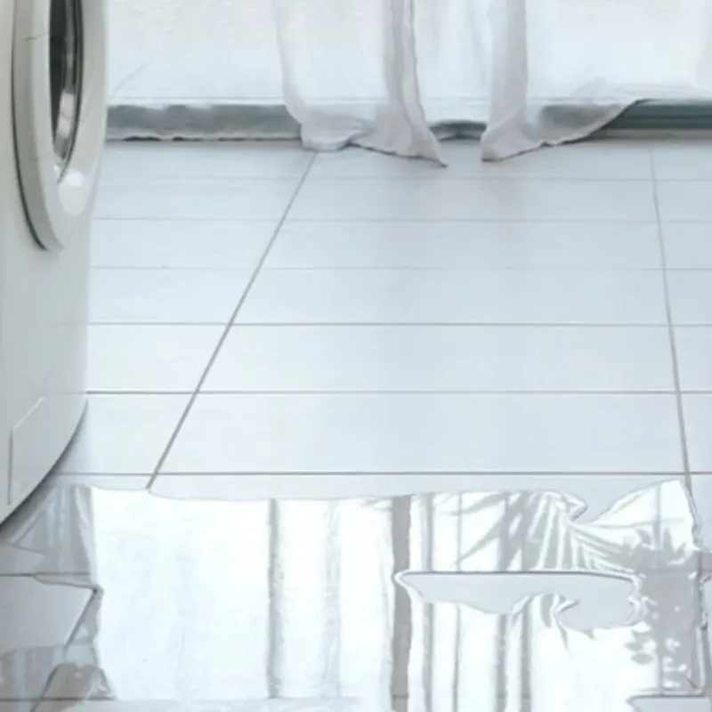 Appliance Leak Cleanup in Effingham, IL