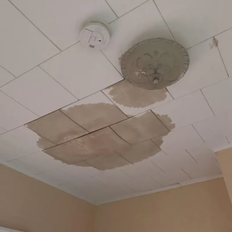 Ceiling Water Damage Repair in Effingham, IL