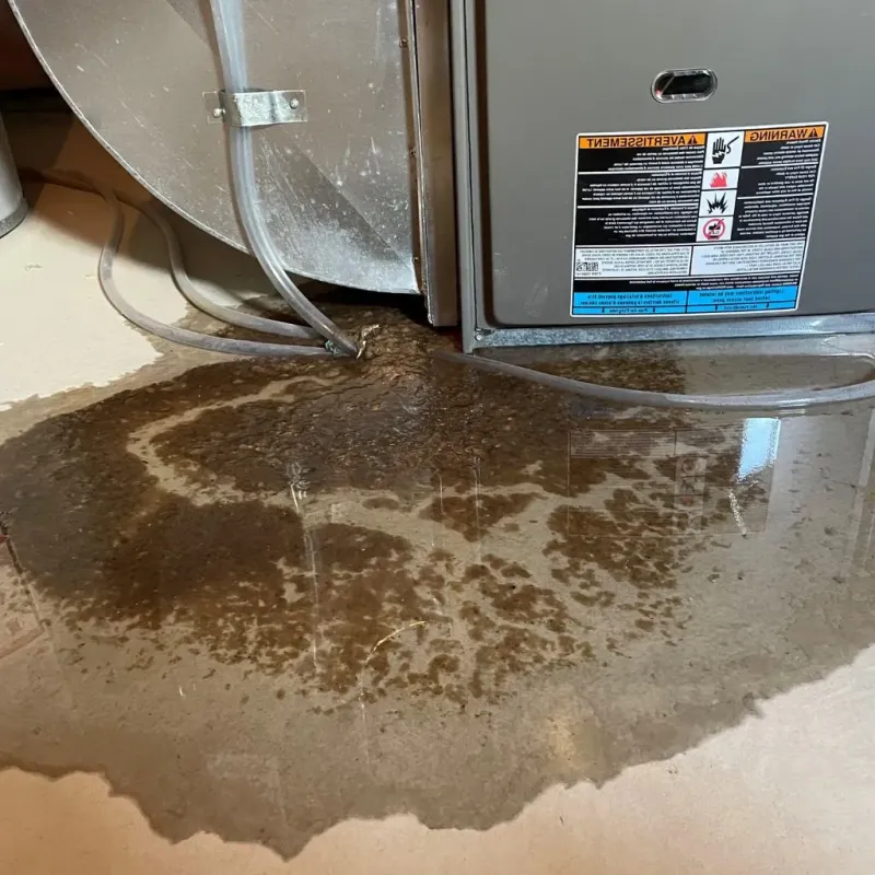 Pipe Burst and Leak Restoration in Effingham, IL