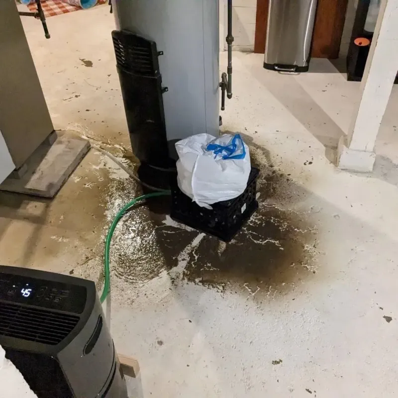 Sewage Backup Cleanup Service in Effingham, IL